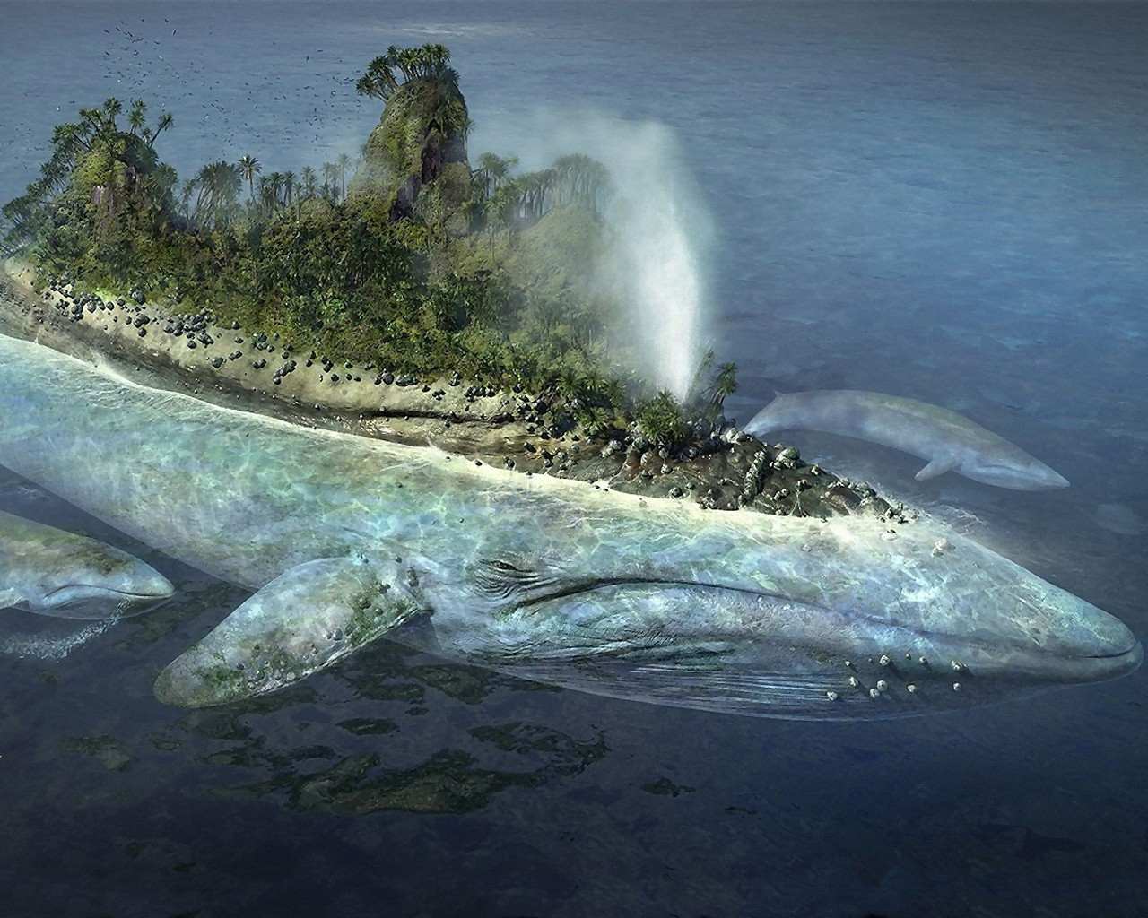 whale, Island, Animals, Sea Wallpaper