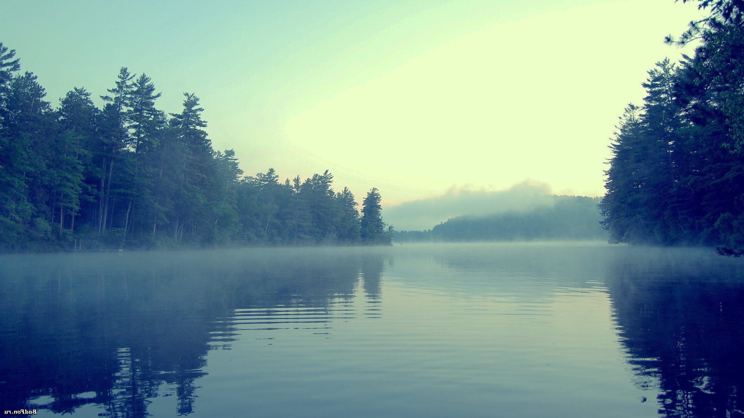 lake, Forest, Mist Wallpaper