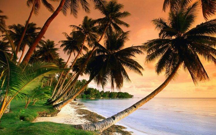 nature, Sunset, Tropical HD Wallpaper Desktop Background