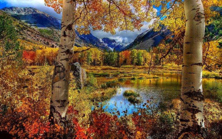 nature, Fall HD Wallpaper Desktop Background