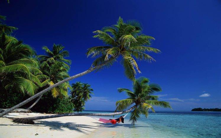 nature, Tropical, Beach HD Wallpaper Desktop Background
