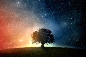 space, Trees, Grass, Stars