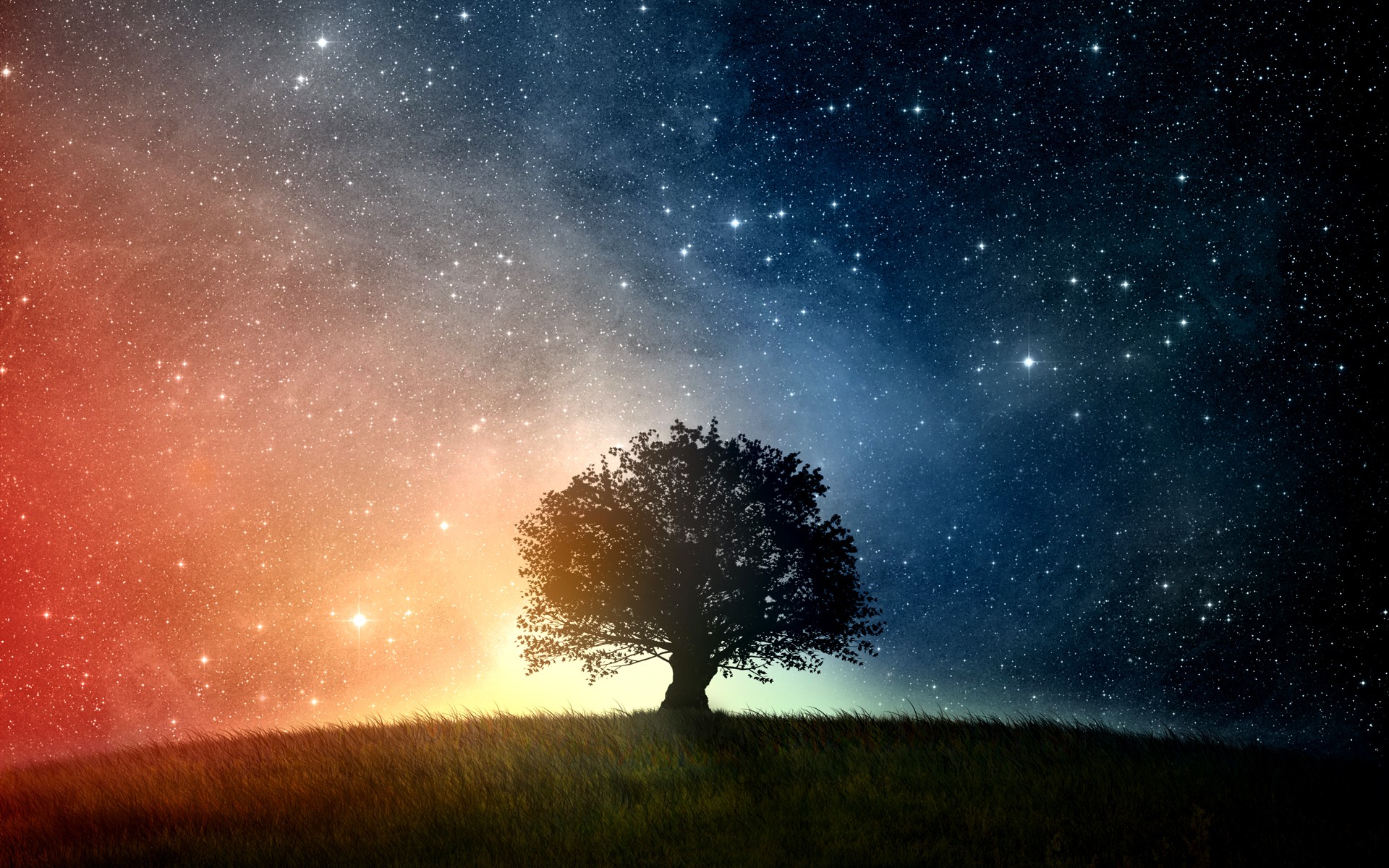 space, Trees, Grass, Stars Wallpapers HD / Desktop and ...