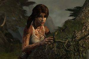 video Games, Lara Croft, Tomb Raider, Tomb Raider 2013
