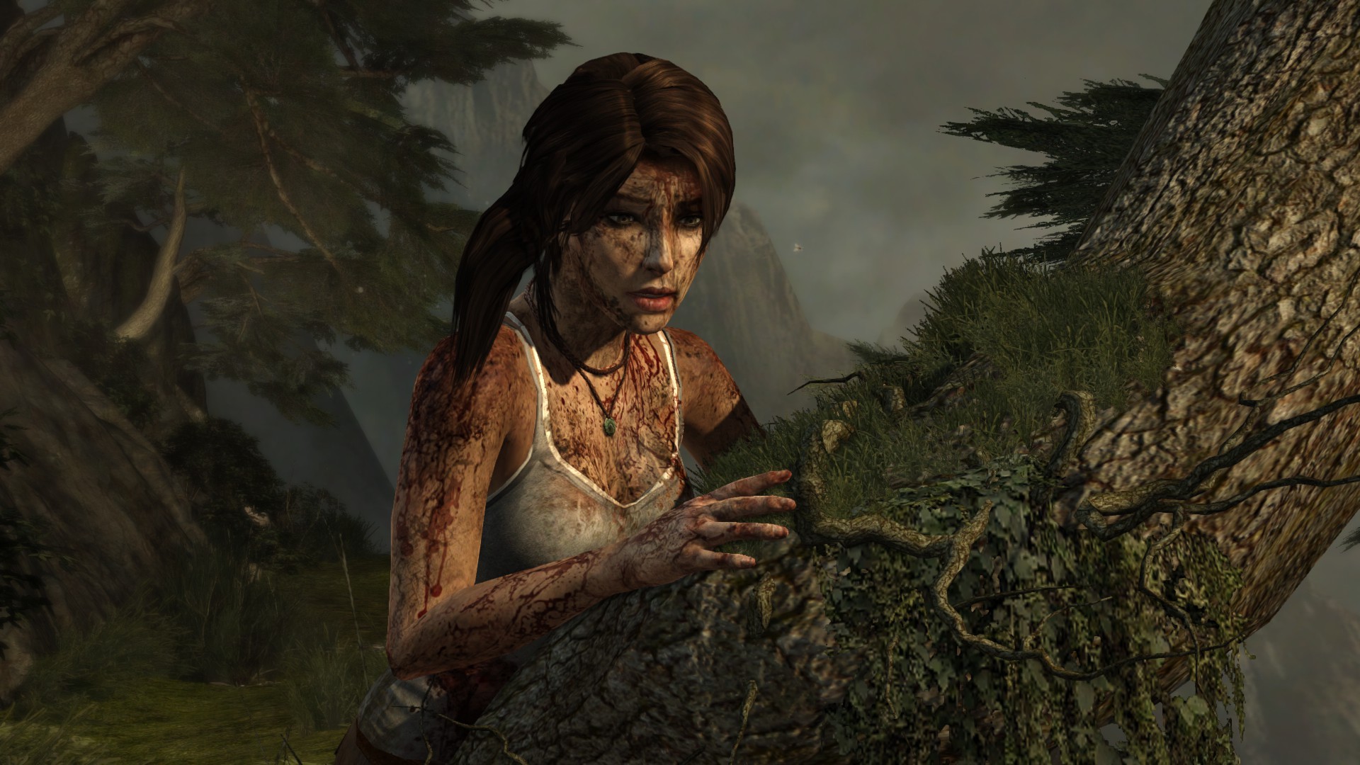 video Games, Lara Croft, Tomb Raider, Tomb Raider 2013 Wallpaper