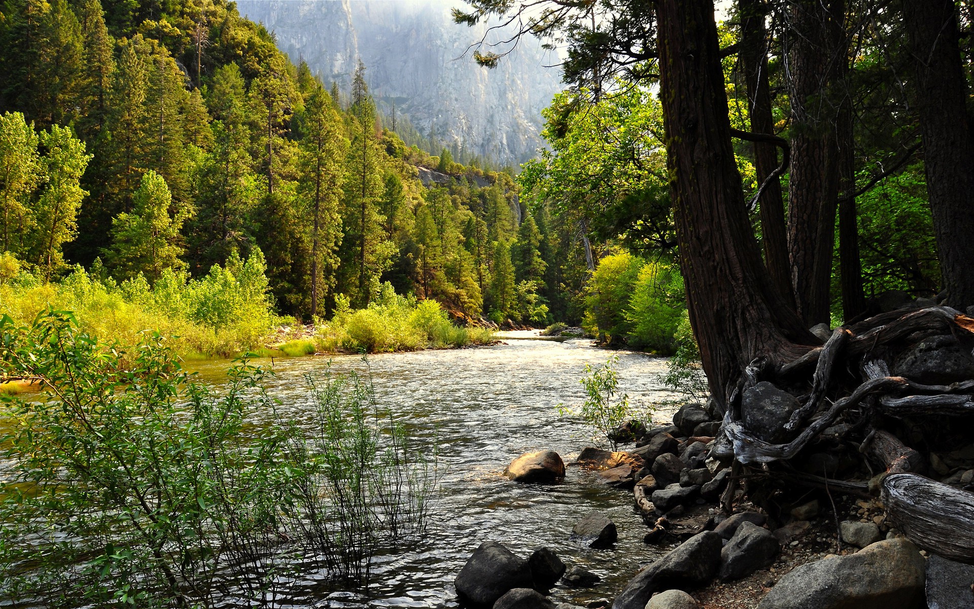 nature, Water, Trees, Hill, Rock Wallpaper