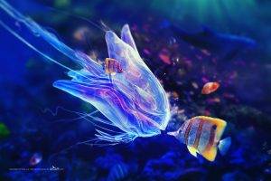fantasy Art, Bubbles, Fish, Adam Spizak, Digital Art, Sea, Underwater