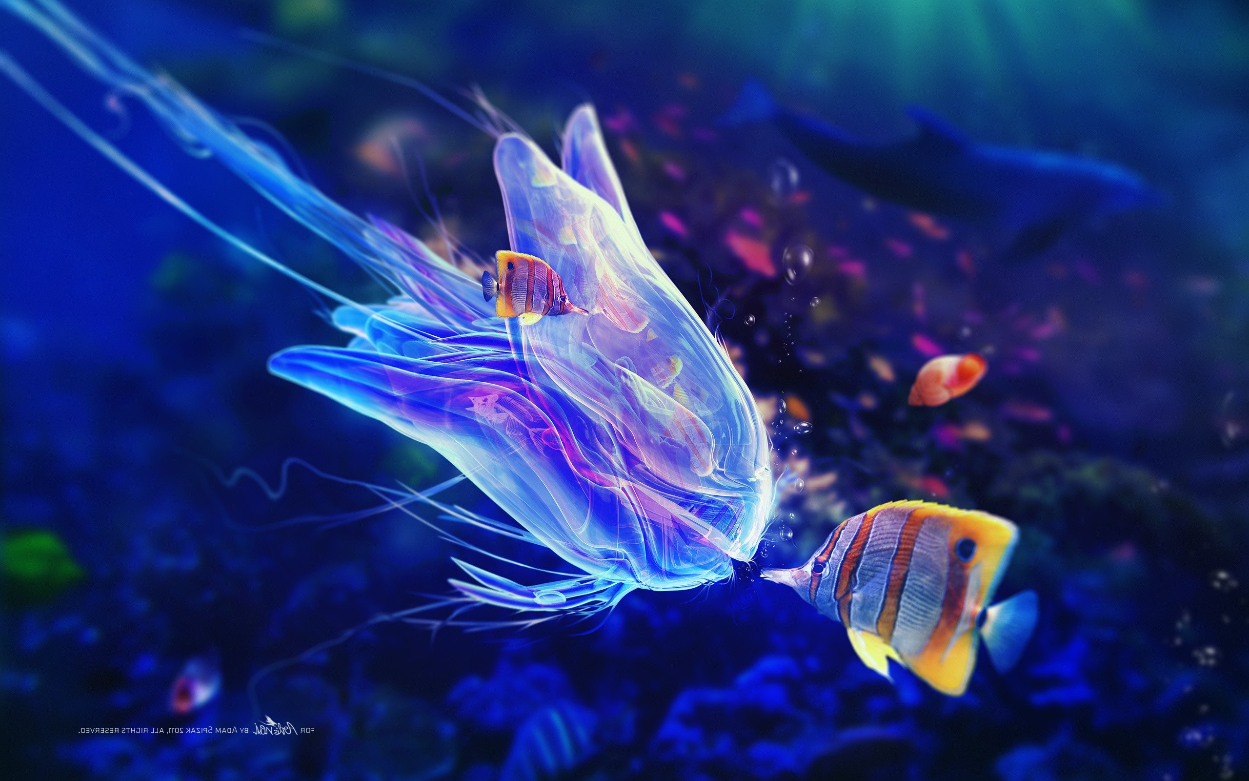 fantasy Art, Bubbles, Fish, Adam Spizak, Digital Art, Sea, Underwater Wallpaper