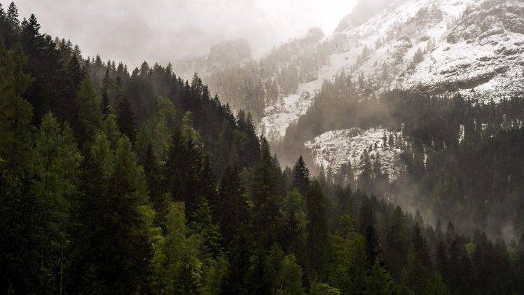 nature, Forest, Mountain HD Wallpaper Desktop Background