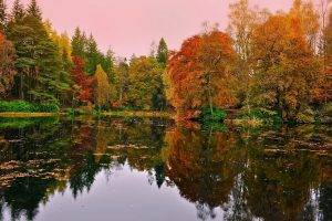 lake, Nature, Fall
