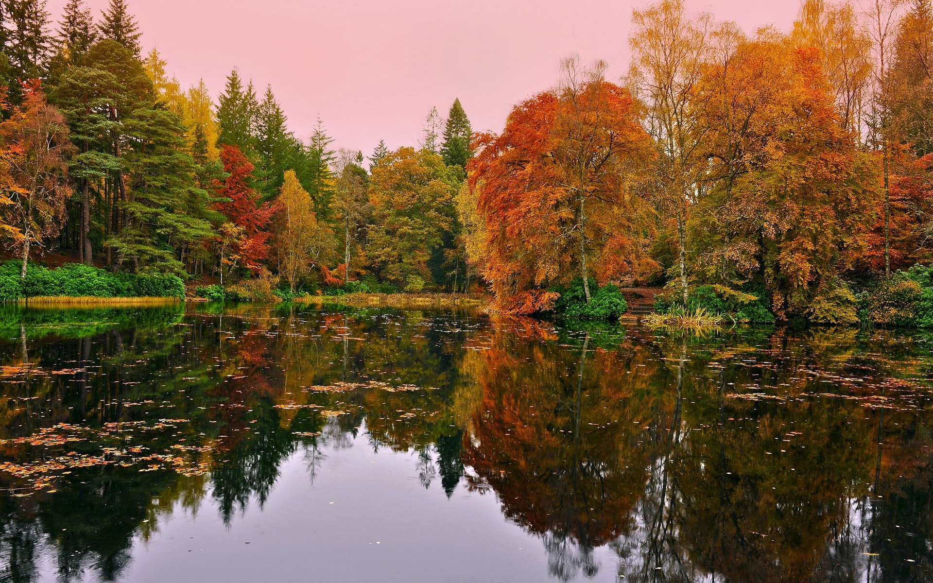 lake, Nature, Fall Wallpaper