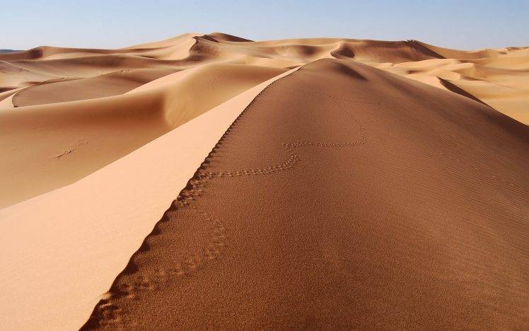 dune, Sand, Desert, Landscape, Footprints HD Wallpaper Desktop Background