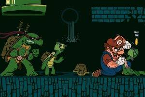 video Games, Super Mario, Turtle, Teenage Mutant Ninja Turtles, Coins, Fighting, Glasses, Sword