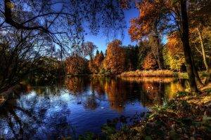 lake, Forest, Nature