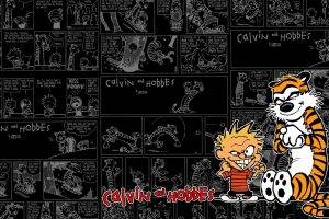 comics, Calvin And Hobbes