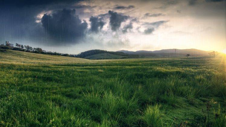 grass, Field, Rain, Nature HD Wallpaper Desktop Background
