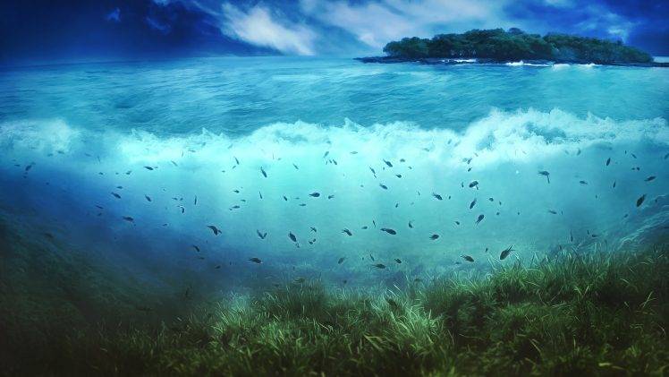 sea, Nature, Island, Fish, Artwork, Split View HD Wallpaper Desktop Background