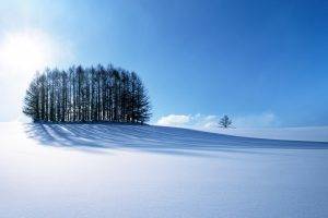 winter, Snow, Trees, Nature