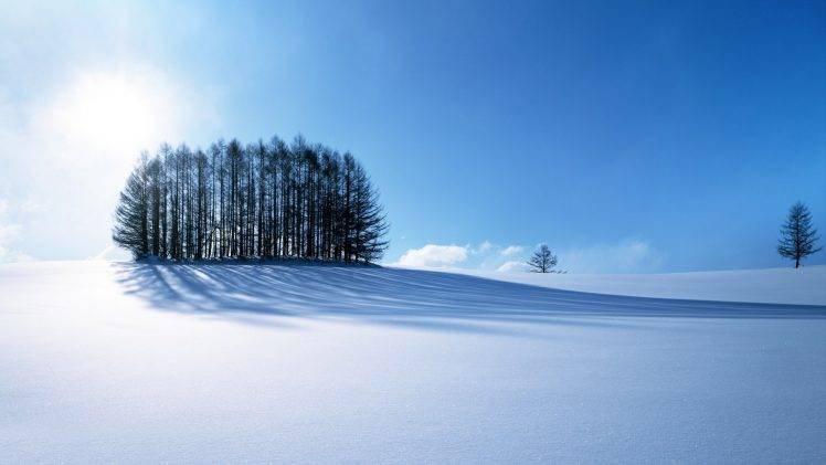 winter, Snow, Trees, Nature HD Wallpaper Desktop Background
