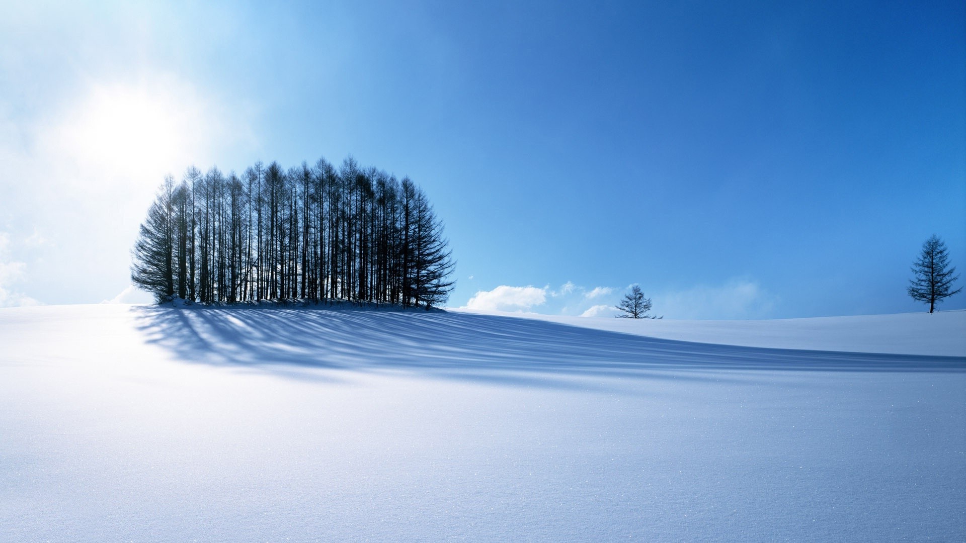 winter, Snow, Trees, Nature Wallpaper