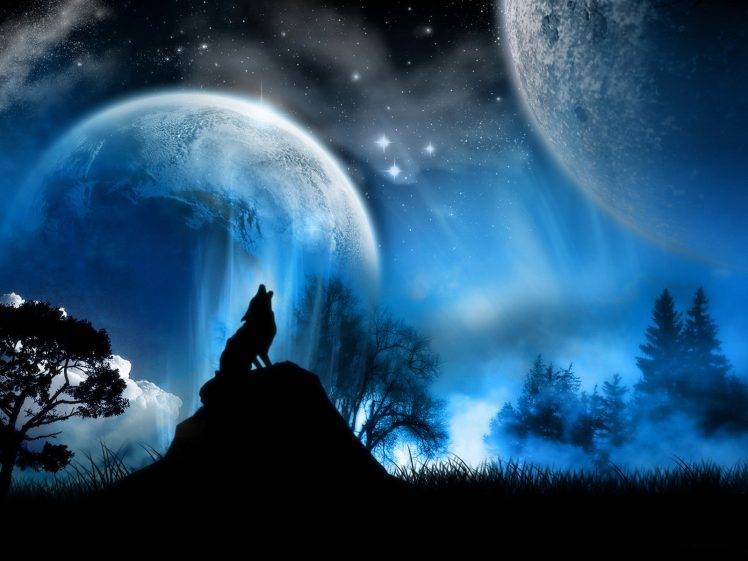 wolf, Animals, Fantasy Art, Artwork, Night, Moon HD Wallpaper Desktop Background