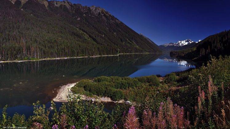nature, Landscape, Lake, Plants HD Wallpaper Desktop Background