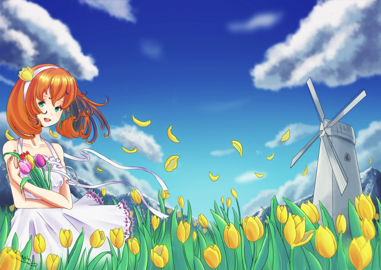 flowers, Drawing HD Wallpaper Desktop Background