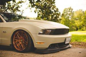 muscle Cars, Shelby, Shelby GT, Tuning, Car