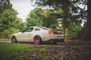 tuning, Low Ride, Muscle Cars, Shelby, Shelby GT, Car
