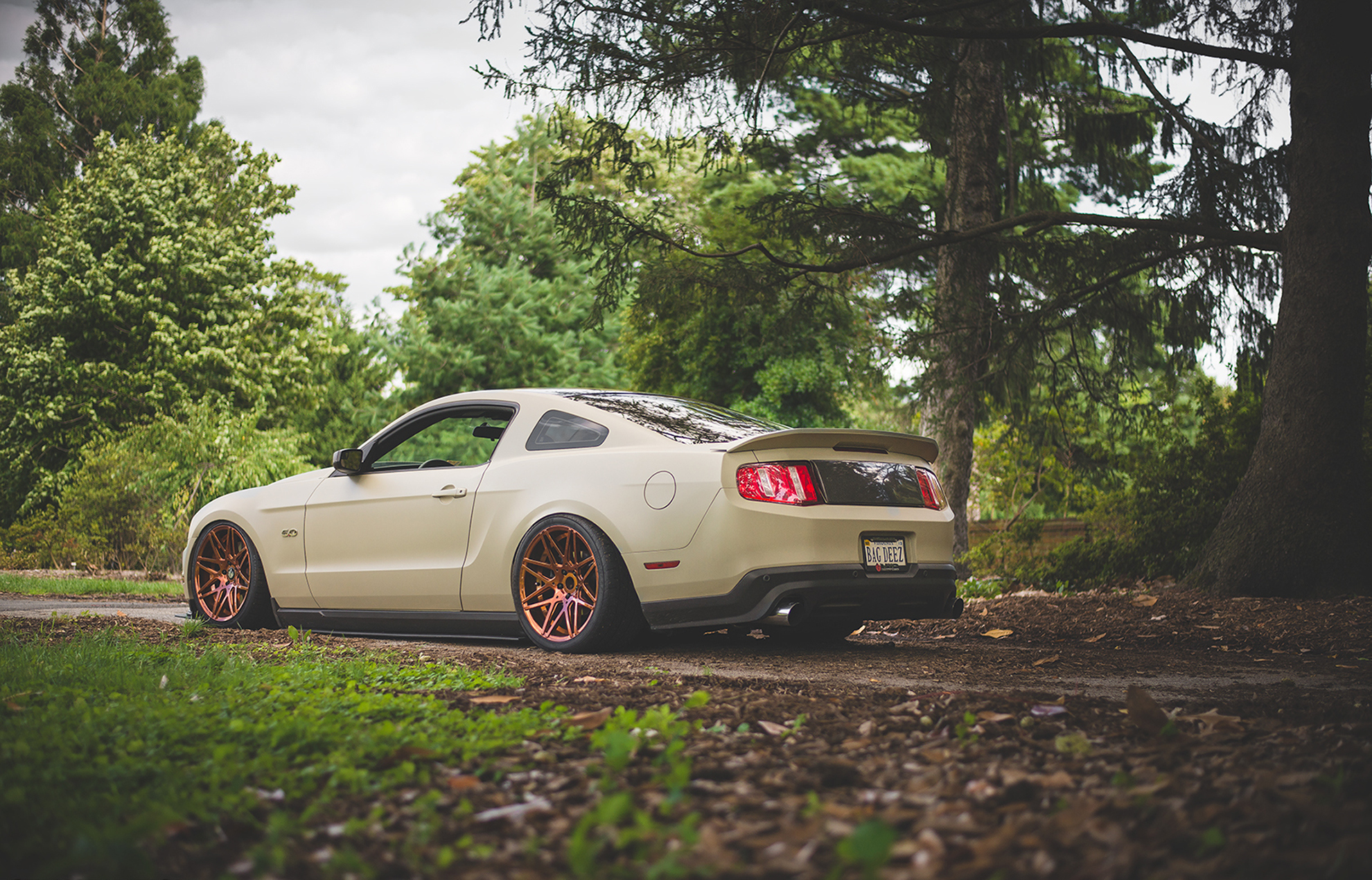 tuning, Low Ride, Muscle Cars, Shelby, Shelby GT, Car Wallpaper
