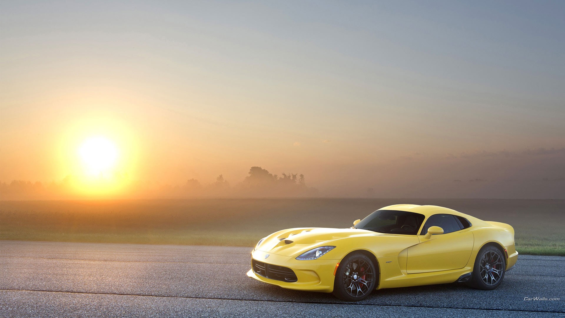 Dodge Viper Wallpaper