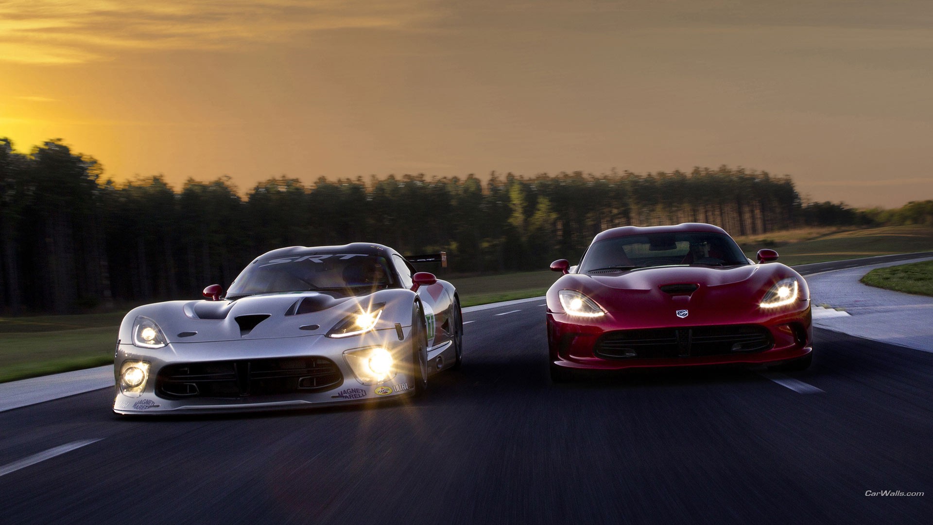 Dodge Viper Wallpaper