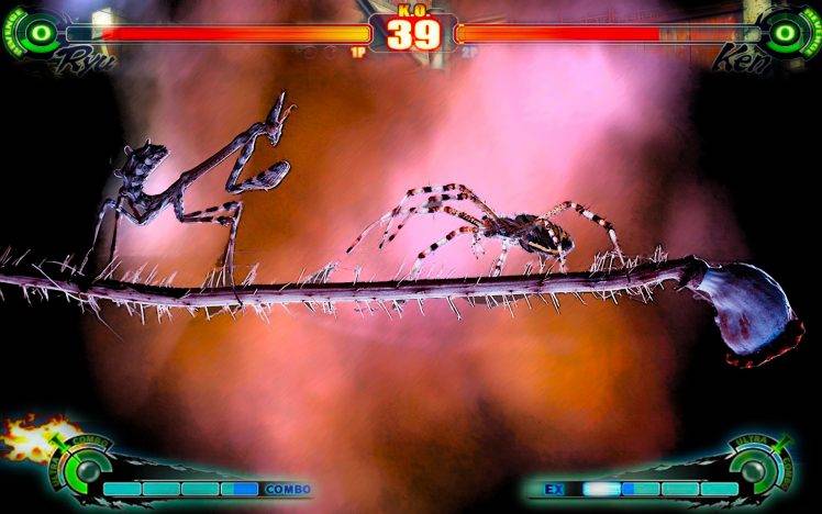 Street Fighter, Video Games HD Wallpaper Desktop Background
