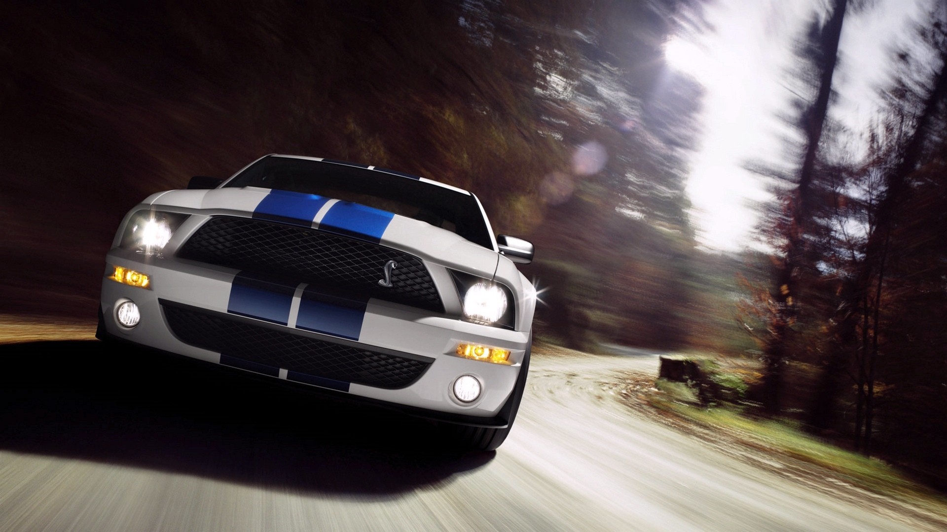 Ford Mustang, Muscle Cars, Shelby Wallpaper