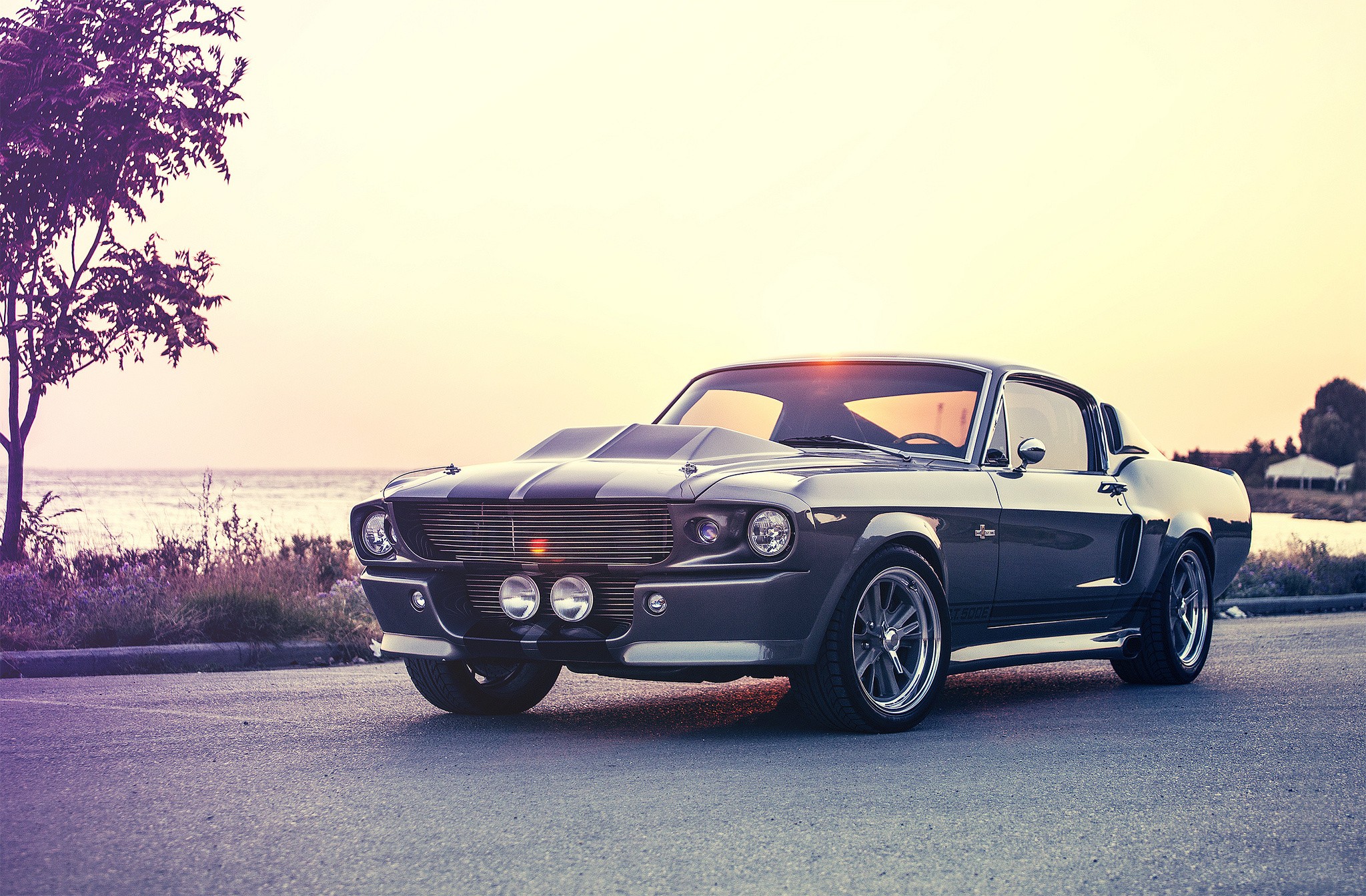 car, Shelby, Gt500, Gray, Eleanor, Muscle Cars Wallpaper