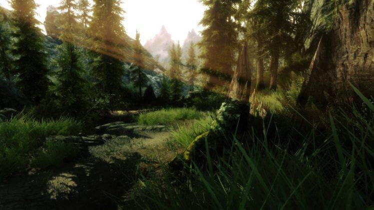 The Elder Scrolls V: Skyrim HD Wallpaper Desktop Background