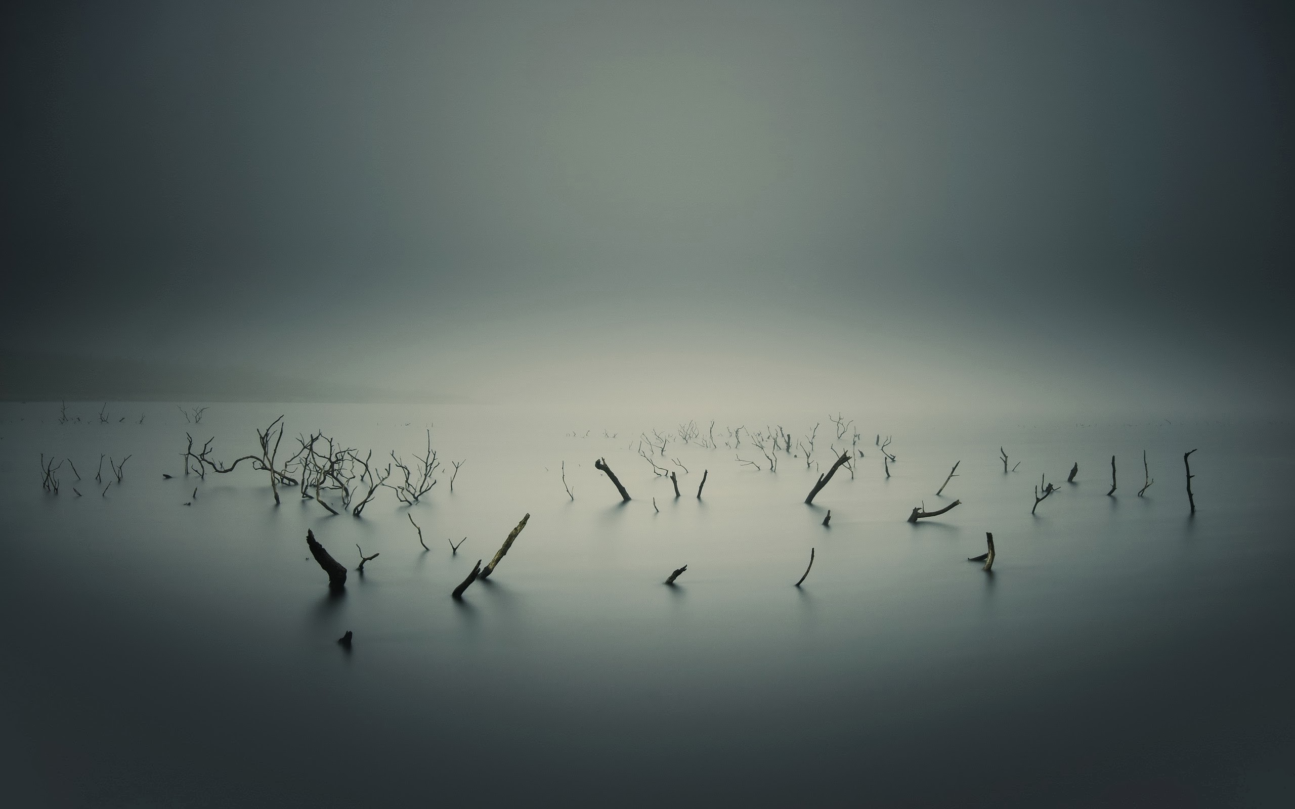lake, Overcast, Water, Branch, Monochrome, Mist Wallpaper