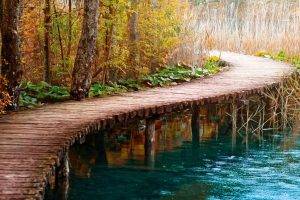 nature, Bridge, Path, Water