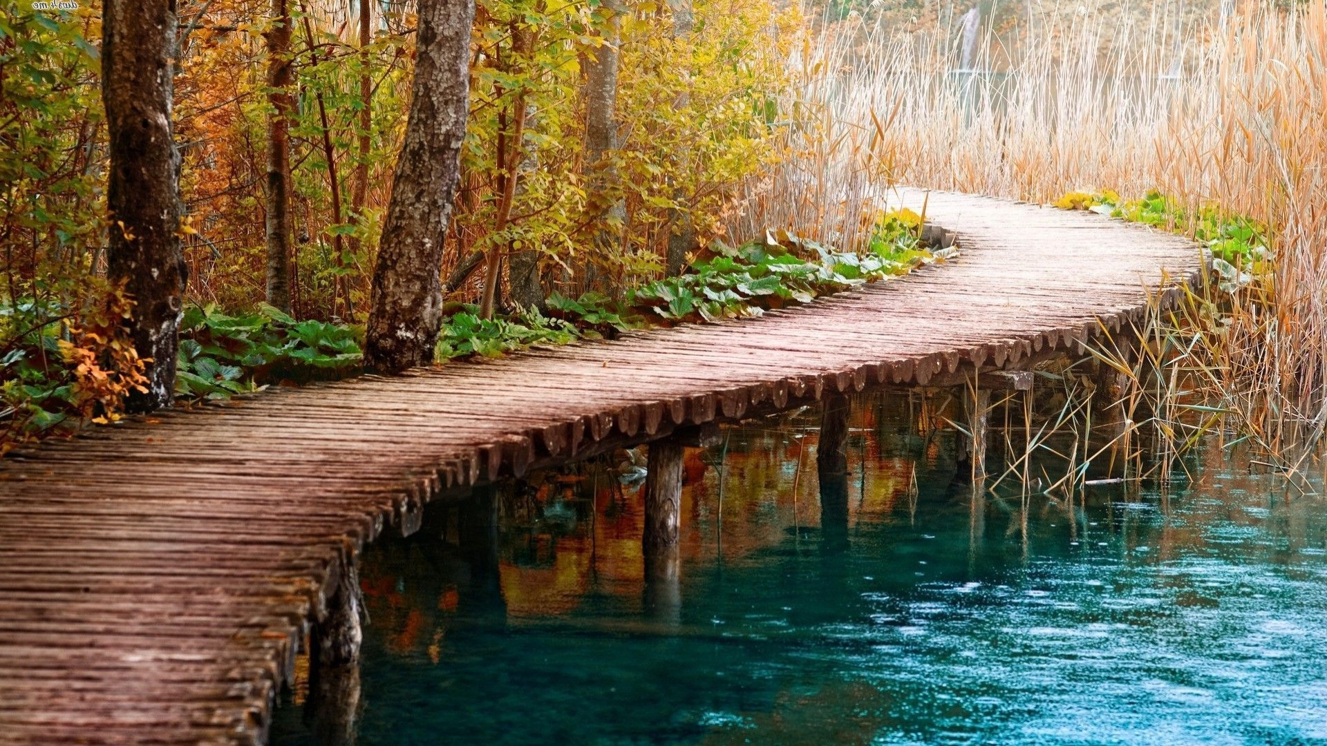 nature, Bridge, Path, Water Wallpaper