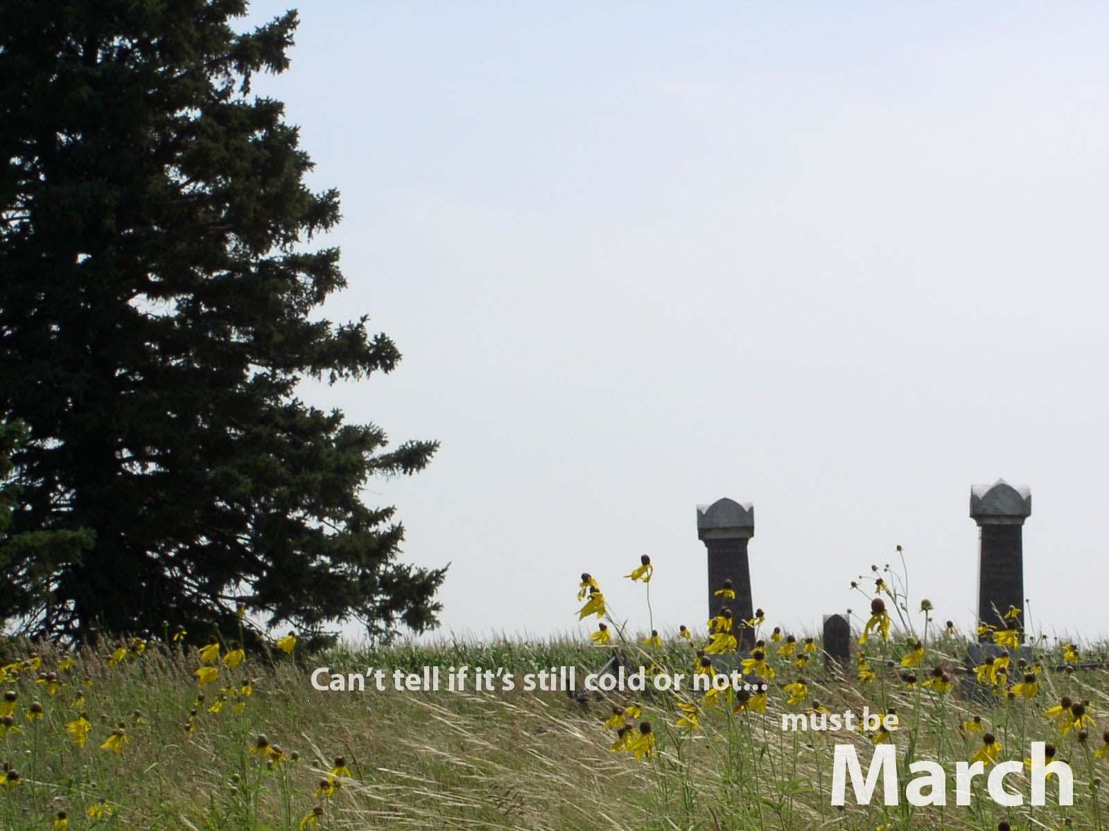 month, Nature Wallpaper