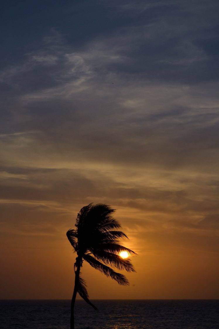 landscape, Sunset, Sun, Nikon, Colombia HD Wallpaper Desktop Background