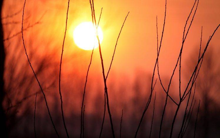sunset, Sunlight, Landscape, Nature HD Wallpaper Desktop Background