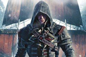 Assassins Creed: Rogue, Video Games