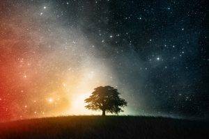 stars, Trees, Space