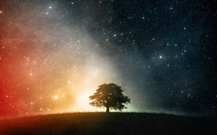 stars, Trees, Space HD Wallpaper Desktop Background