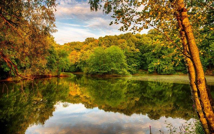 lake, Forest, Nature, Reflection, Trees HD Wallpaper Desktop Background