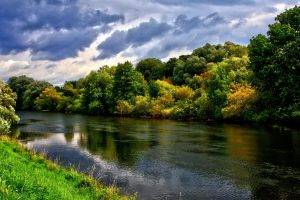 river, Forest, Nature