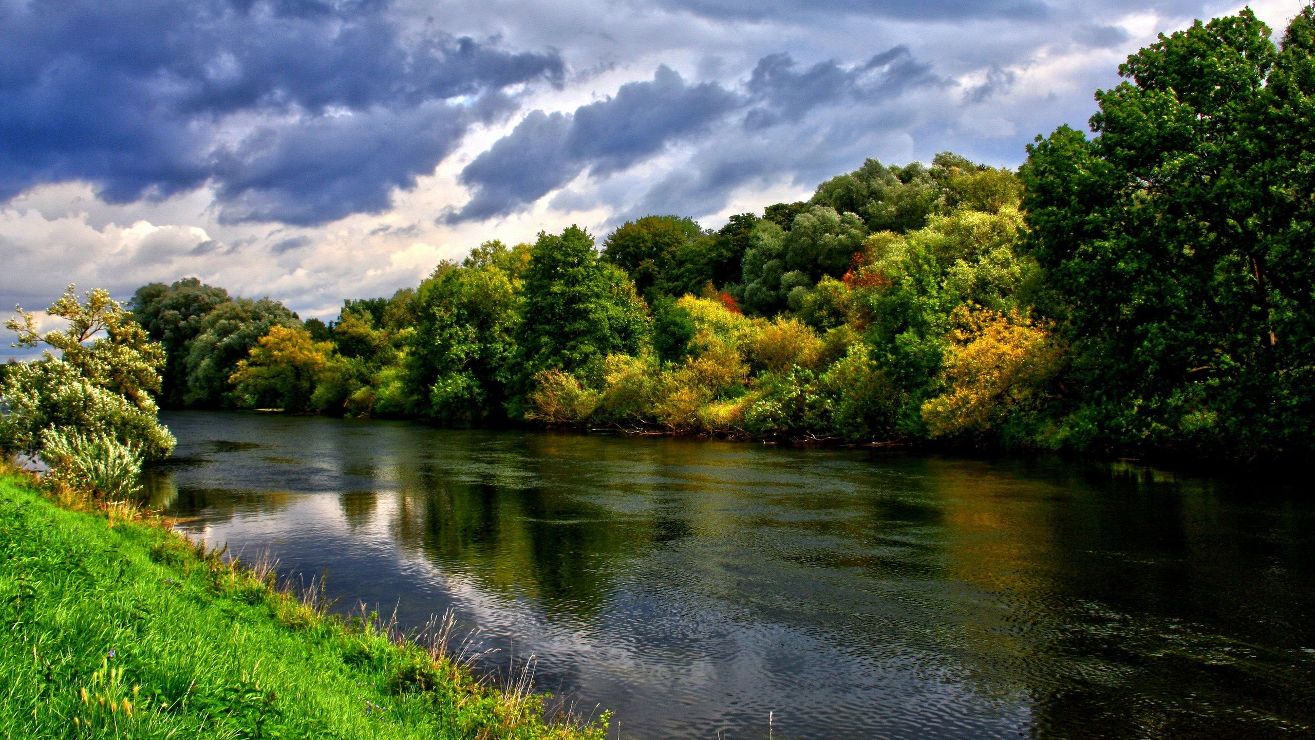 river, Forest, Nature Wallpaper
