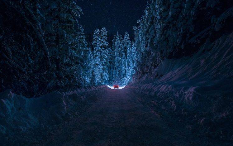 winter, Night, Nature, Forest, Snow, Path HD Wallpaper Desktop Background