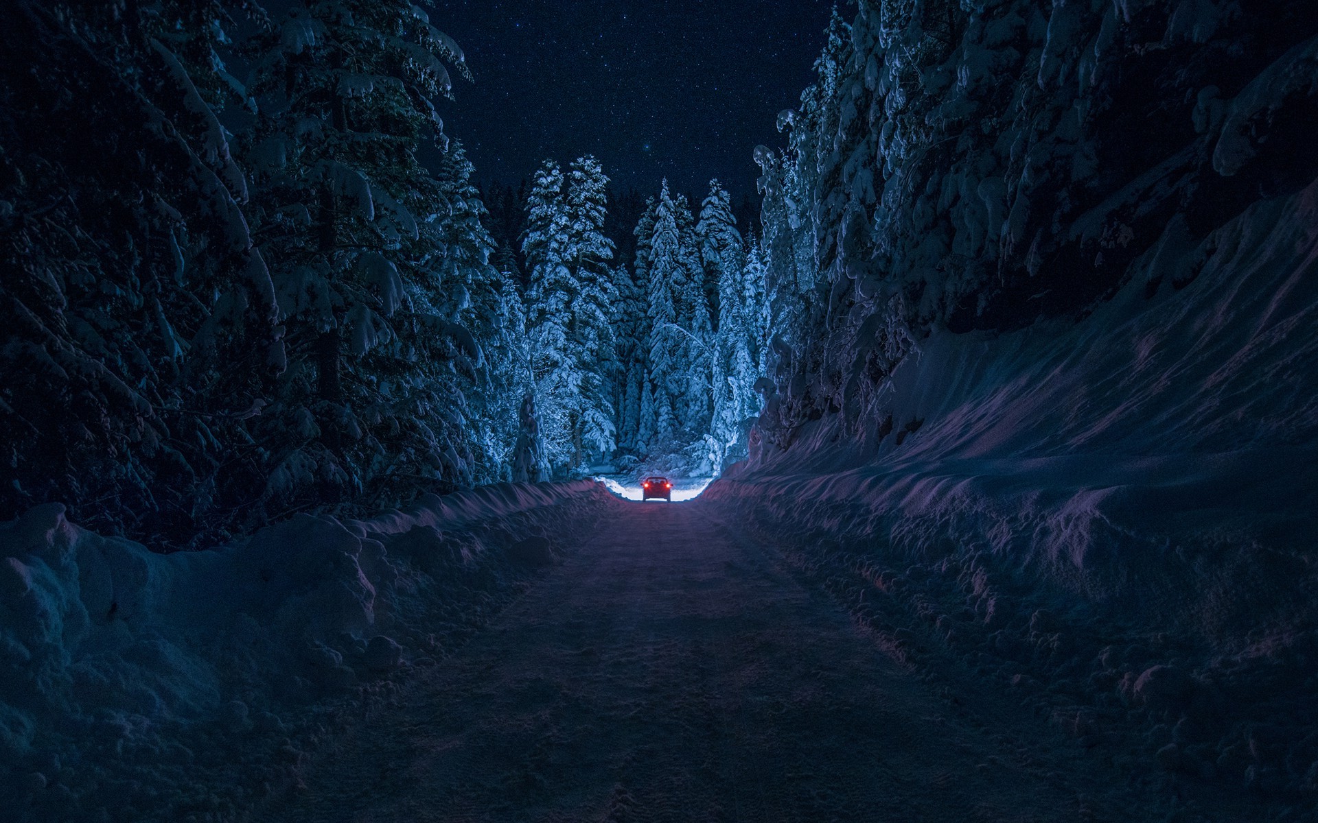 winter, Night, Nature, Forest, Snow, Path Wallpaper